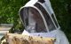 Kurtka pszczelarska i inne ważne wyposażenie dla pszczelarzy
